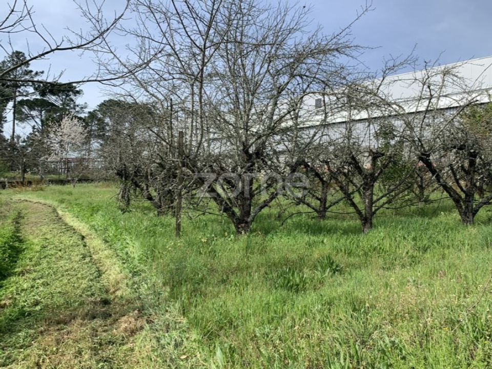 Helårsgrund i Faíl e Vila Chã de Sá, Viseu - foto 4