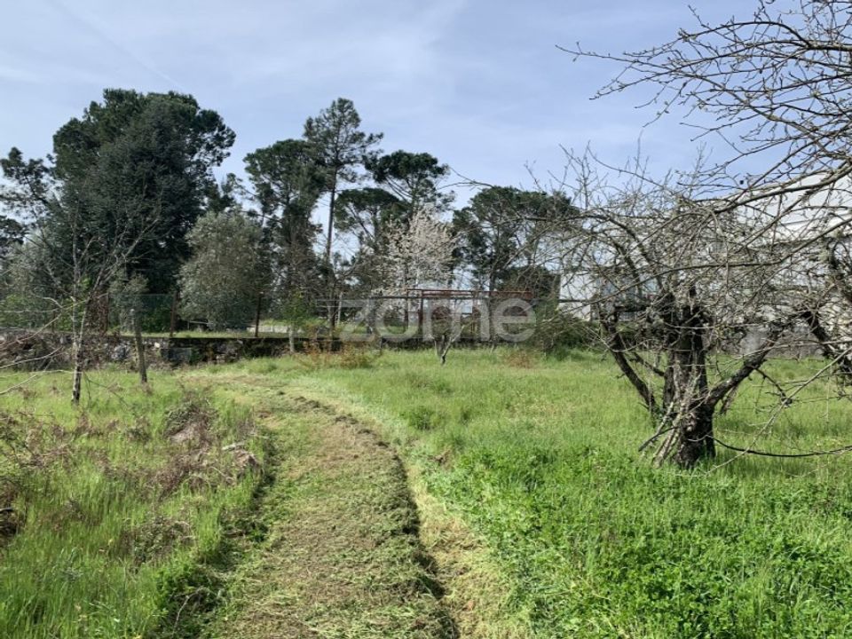 Helårsgrund i Faíl e Vila Chã de Sá, Viseu - foto 5
