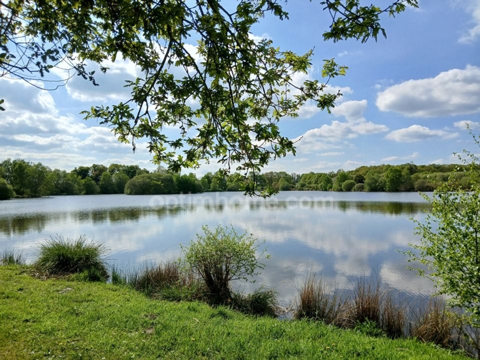 Villa i Plouray, Morbihan - foto 4