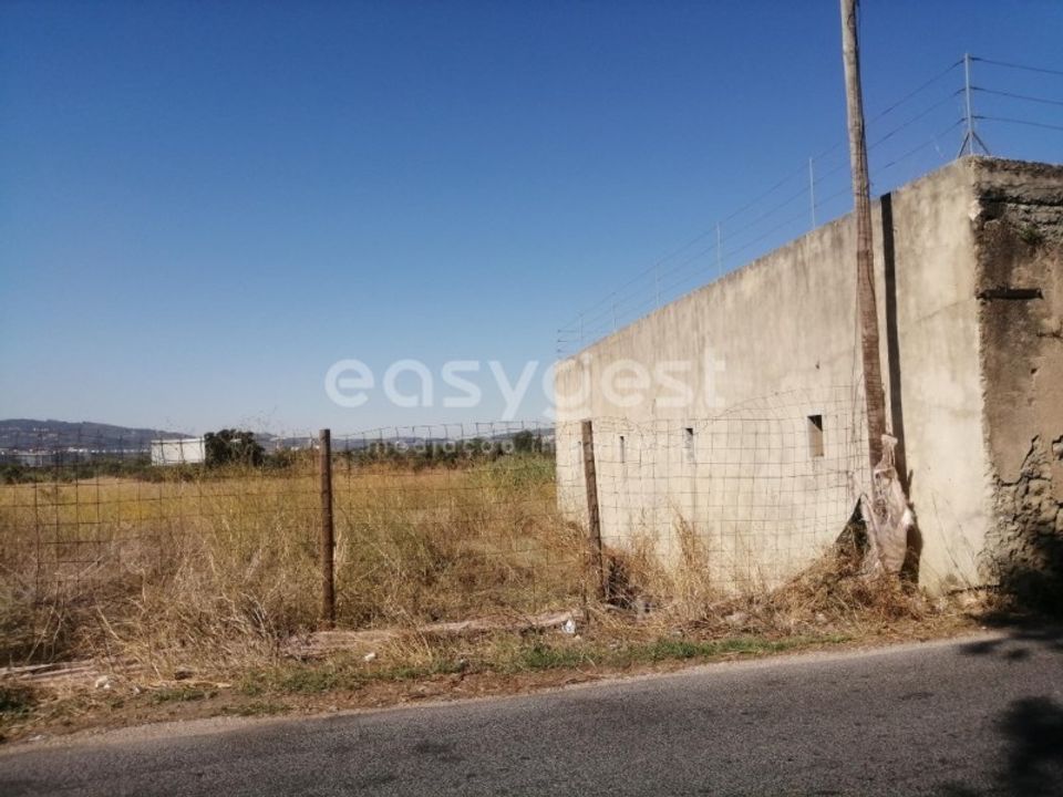 Farm i Santo Antao do Tojal, Lisbon - foto 4