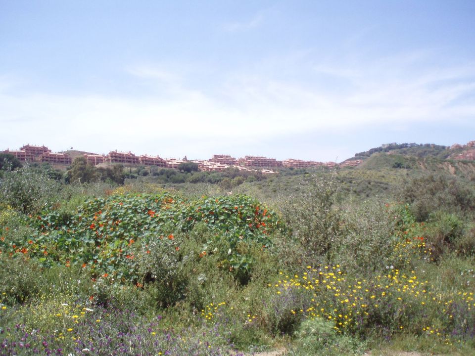 Helårsgrund i Mijas, Malaga - foto 3