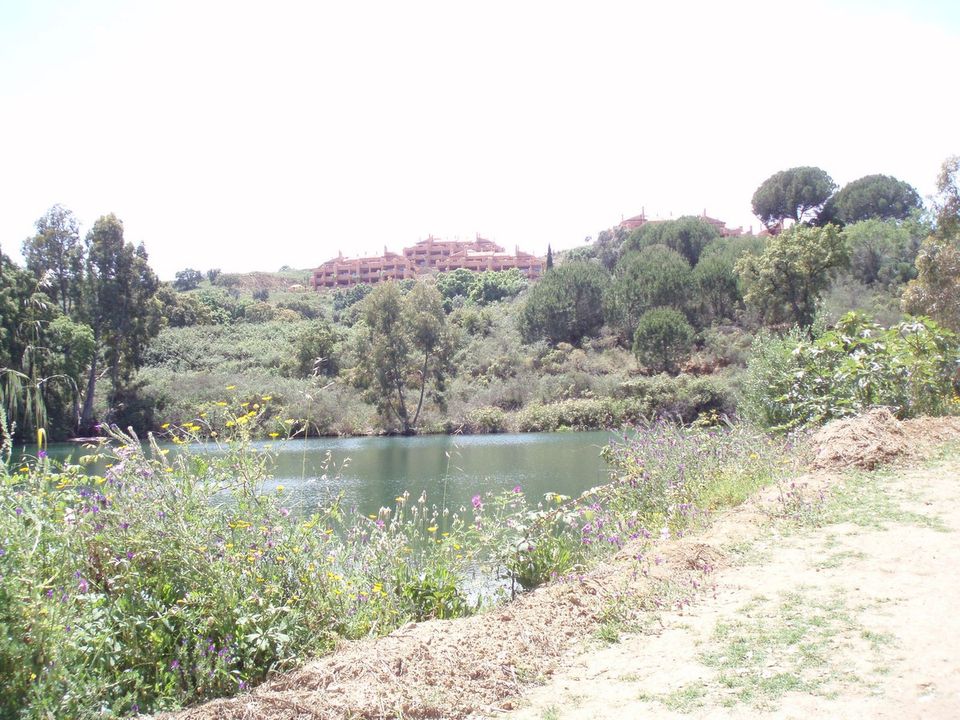 Helårsgrund i Mijas, Malaga - foto 4