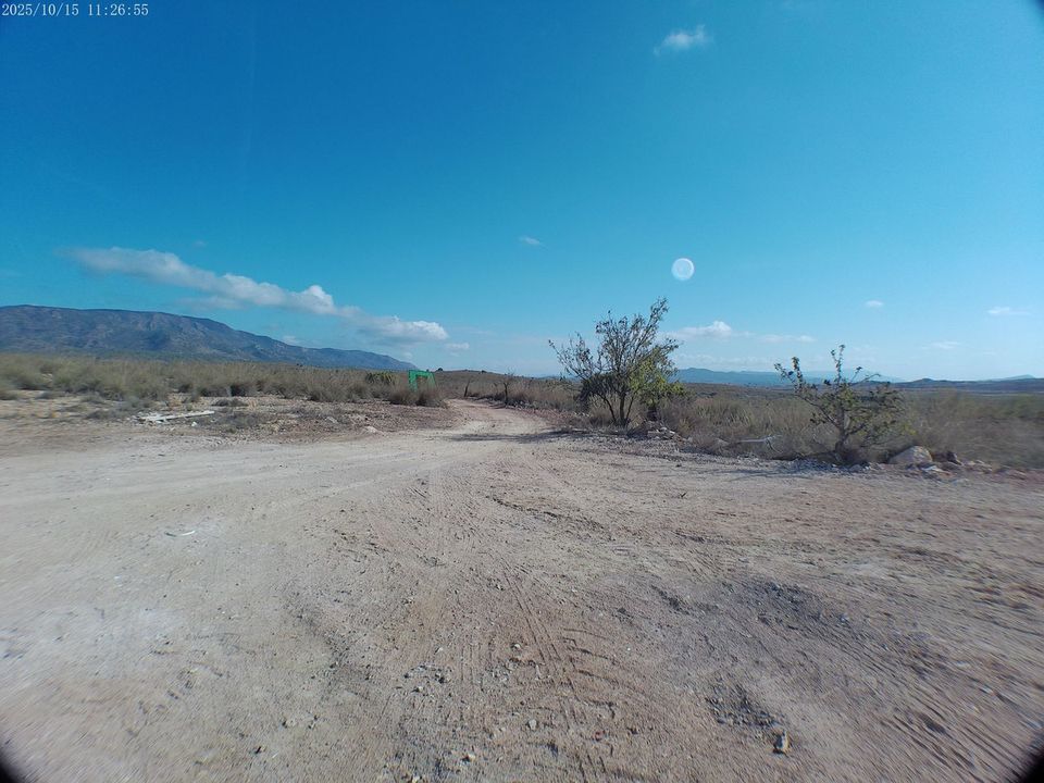 Villa i Pinoso, Alicante - foto 3
