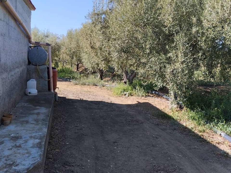 Helårsgrund i Ramacca, Catania - foto 1