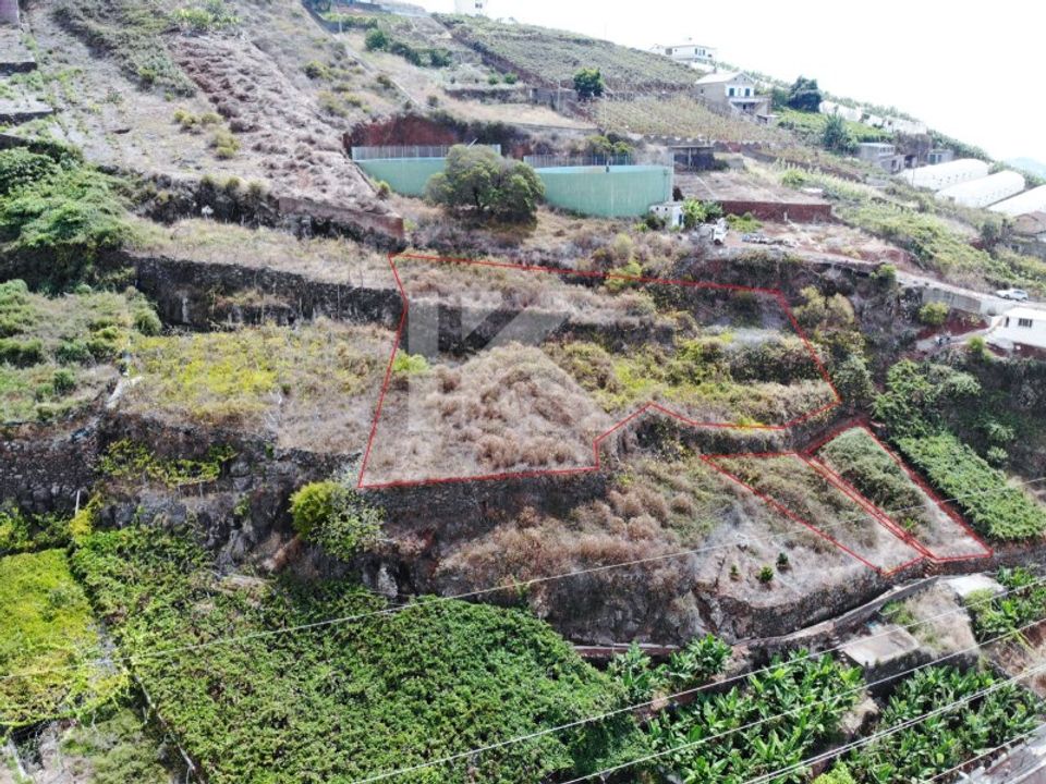 Helårsgrund i Camara de Lobos, Madeira - foto 2