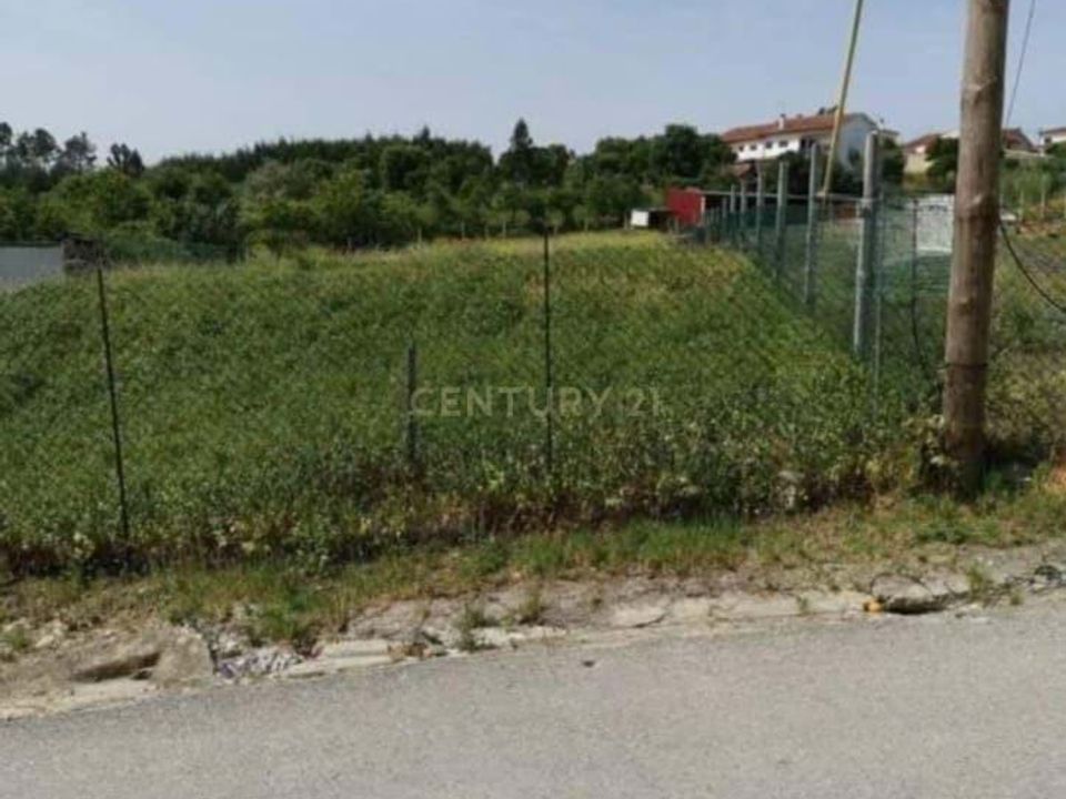 Helårsgrund i Anadia, Aveiro - foto 2