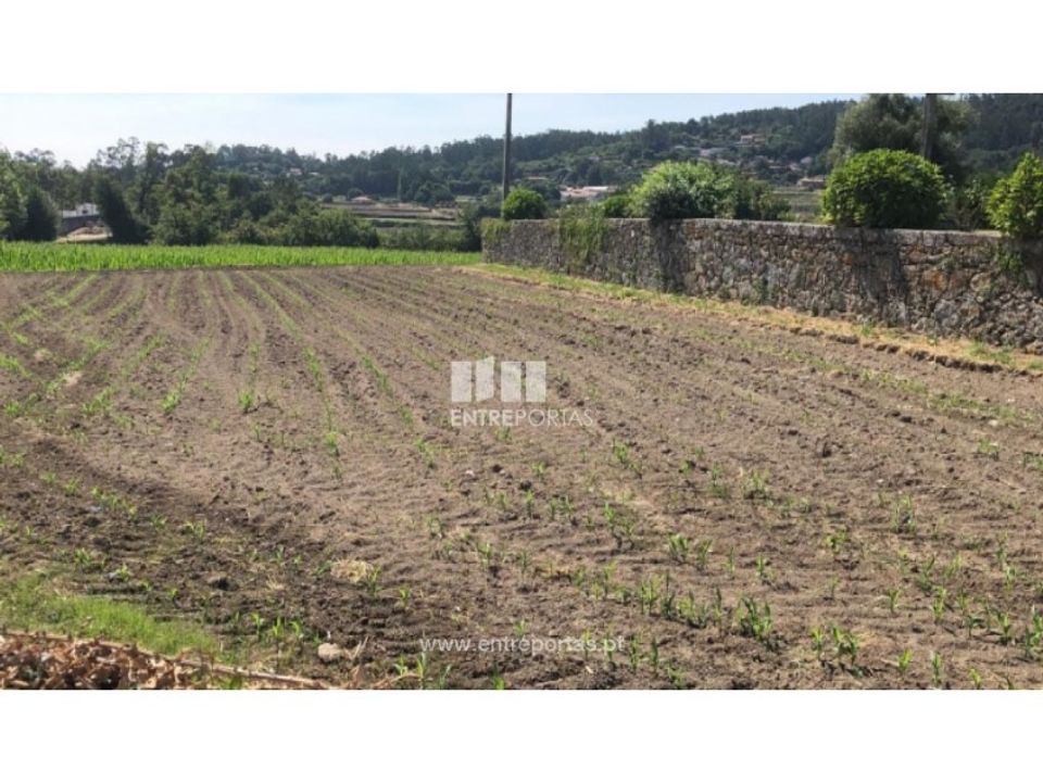 Tomt i Paredes de Coura, Viana do Castelo - bilde 1