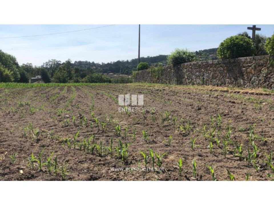 Tomt i Paredes de Coura, Viana do Castelo - bilde 2