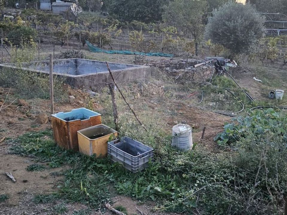 Helårsgrund i Abrantes, Santarem - foto 3