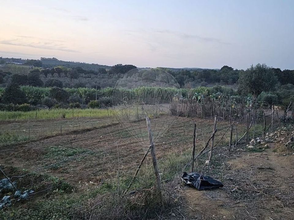 Helårsgrund i Abrantes, Santarem - foto 4