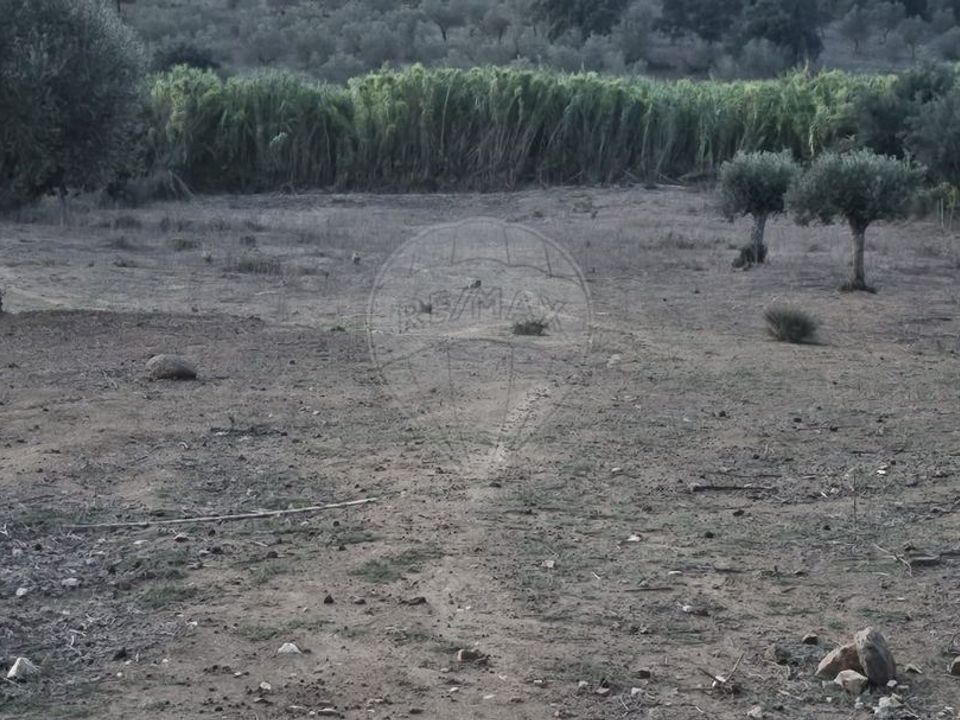 Helårsgrund i Abrantes, Santarem - foto 5