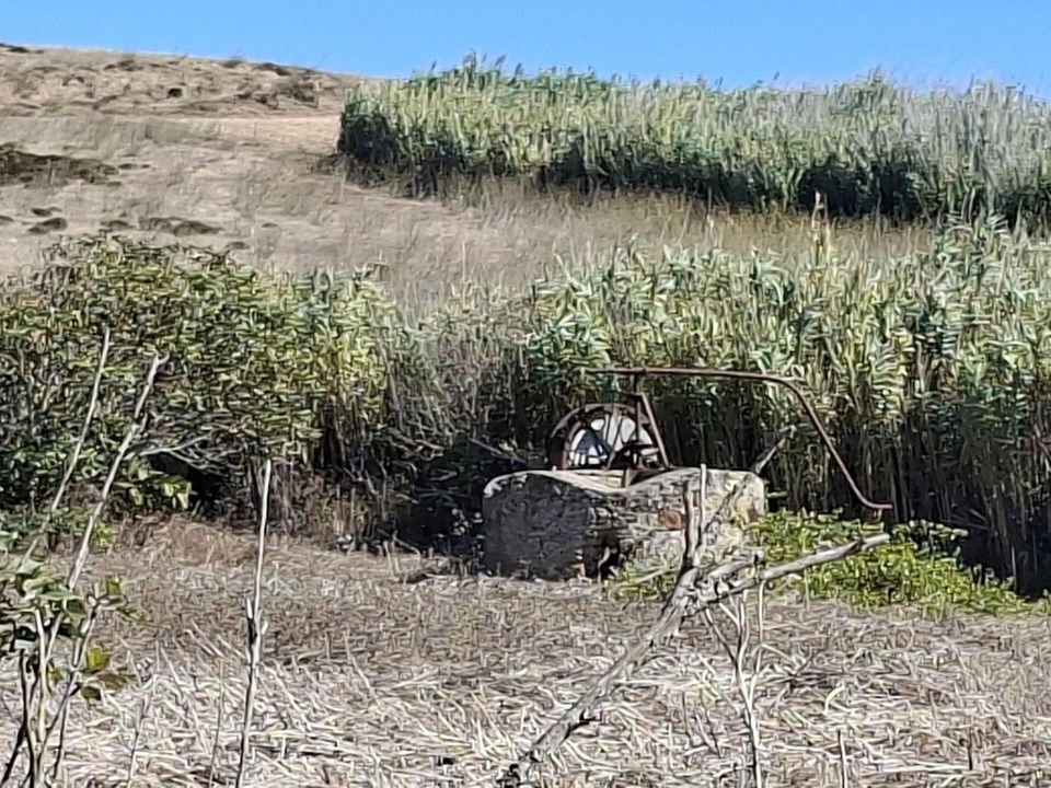 Helårsgrund i Sagres, Faro - foto 4