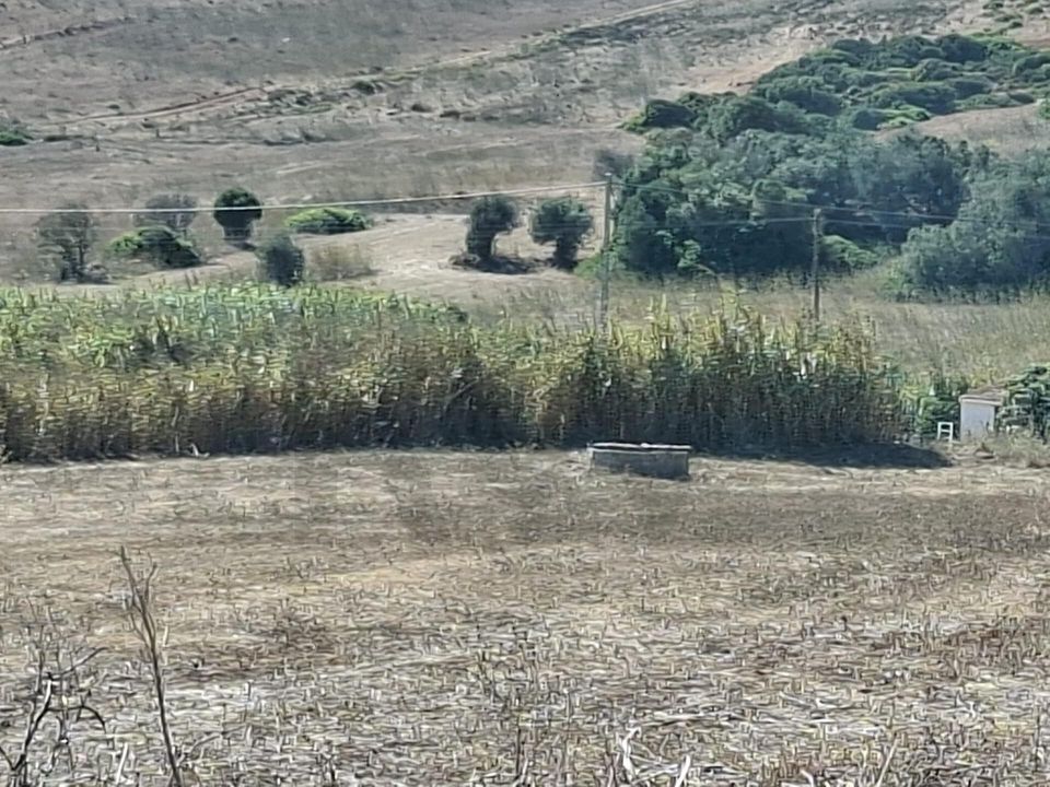 Helårsgrund i Sagres, Faro - foto 5