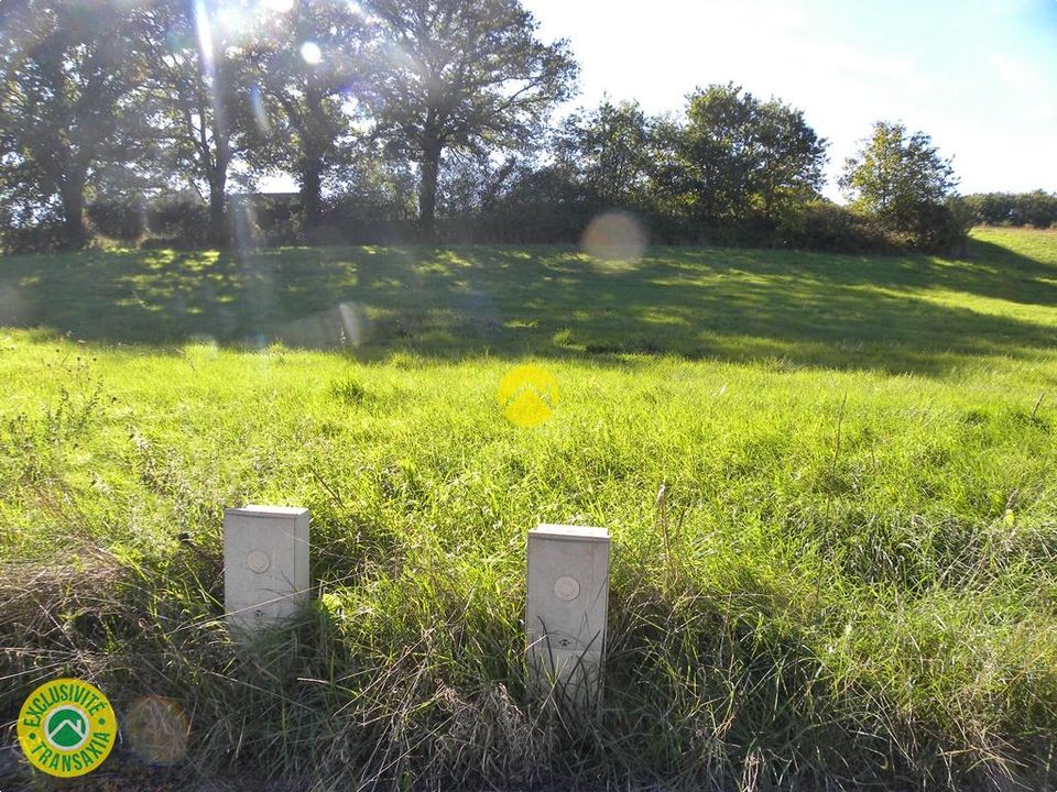 Helårsgrund i Léré, Cher - foto 2