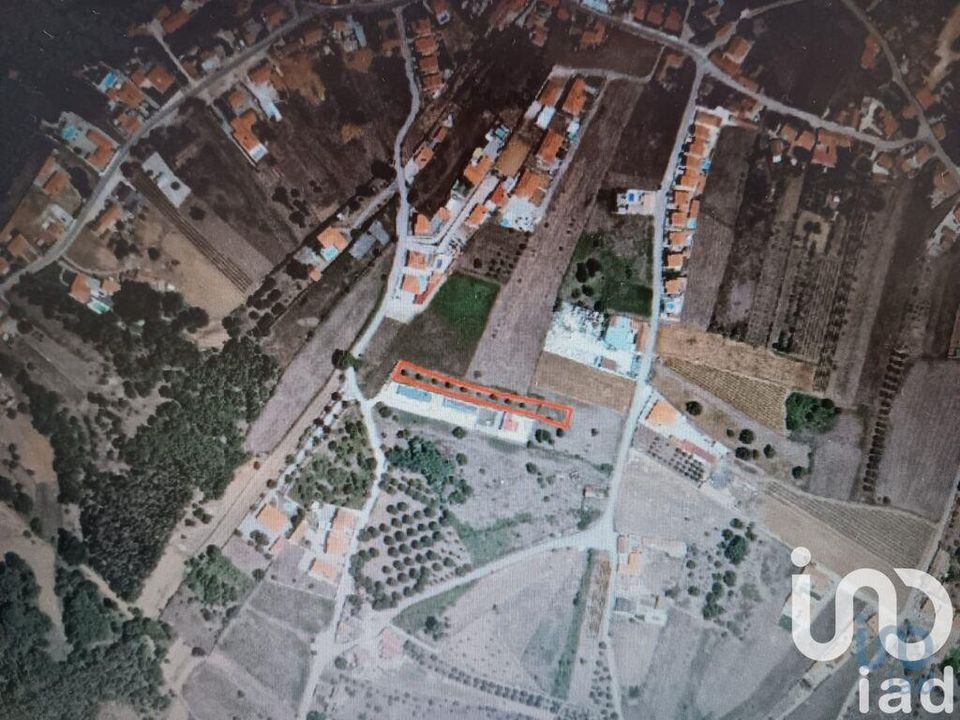 Działka: Alcobaca, Leiria – zdjęcie 1