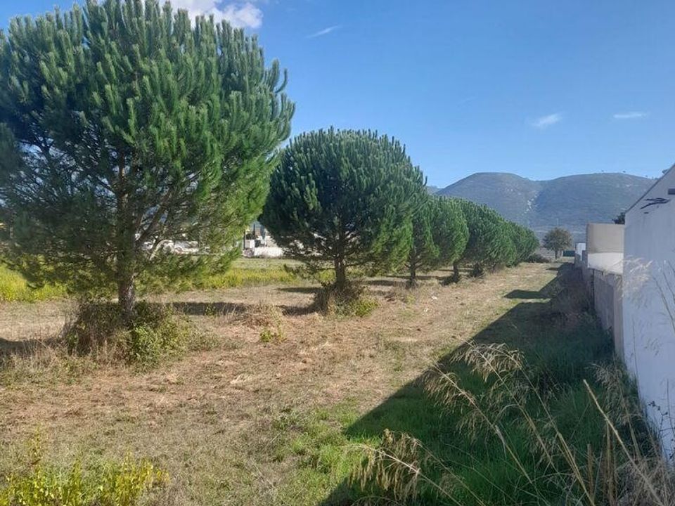 Działka: Alcobaca, Leiria – zdjęcie 3