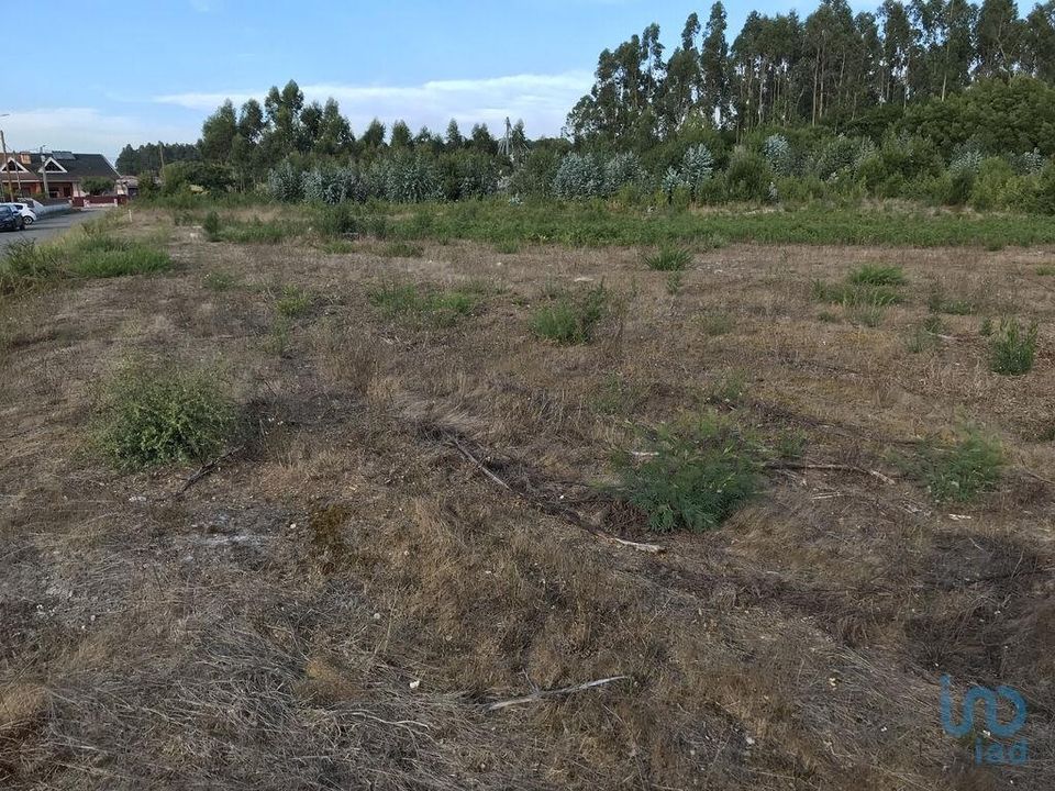 Helårsgrund i Ovar, Aveiro - foto 3