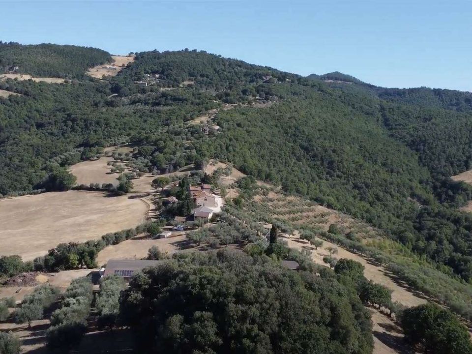 Farm hus i Passignano Sul Trasimeno, Perugia - foto 5