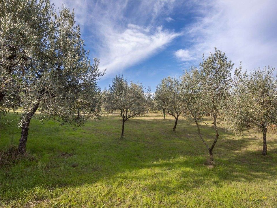 Byhus i Siena, Siena - foto 4