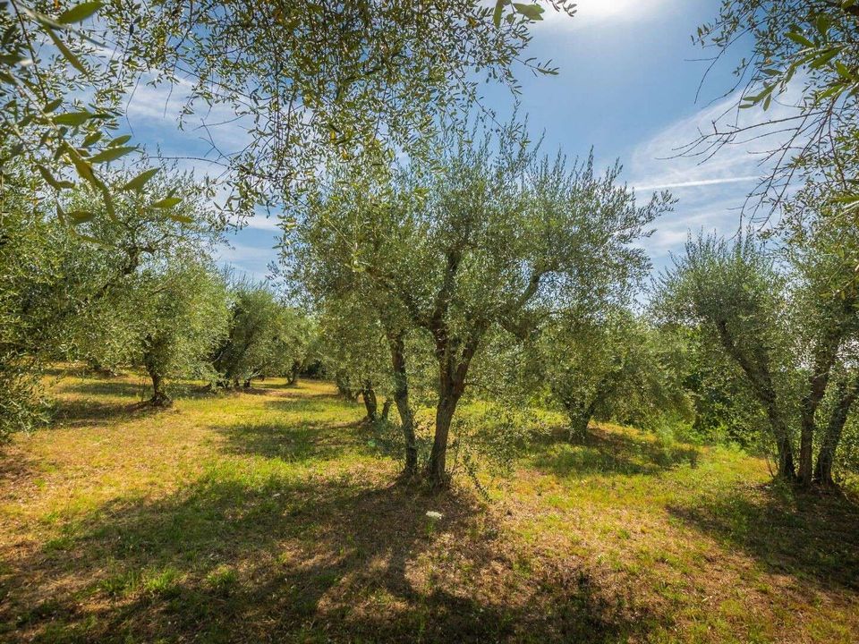 Byhus i Siena, Siena - foto 5