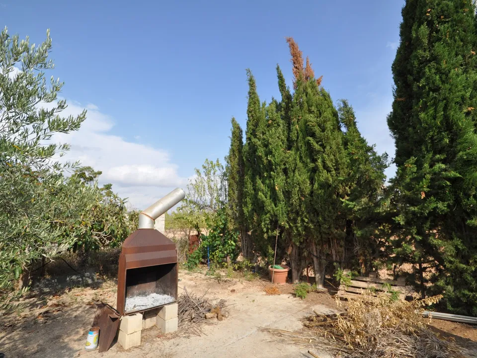 Landejendom i Pinoso, Alicante - foto 2