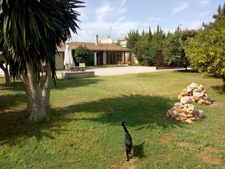 Villa i Establiments, Mallorca - foto 1