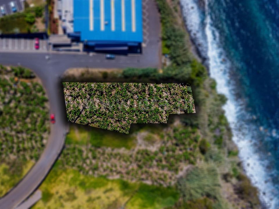 Helårsgrund i Calheta, Madeira - foto 2