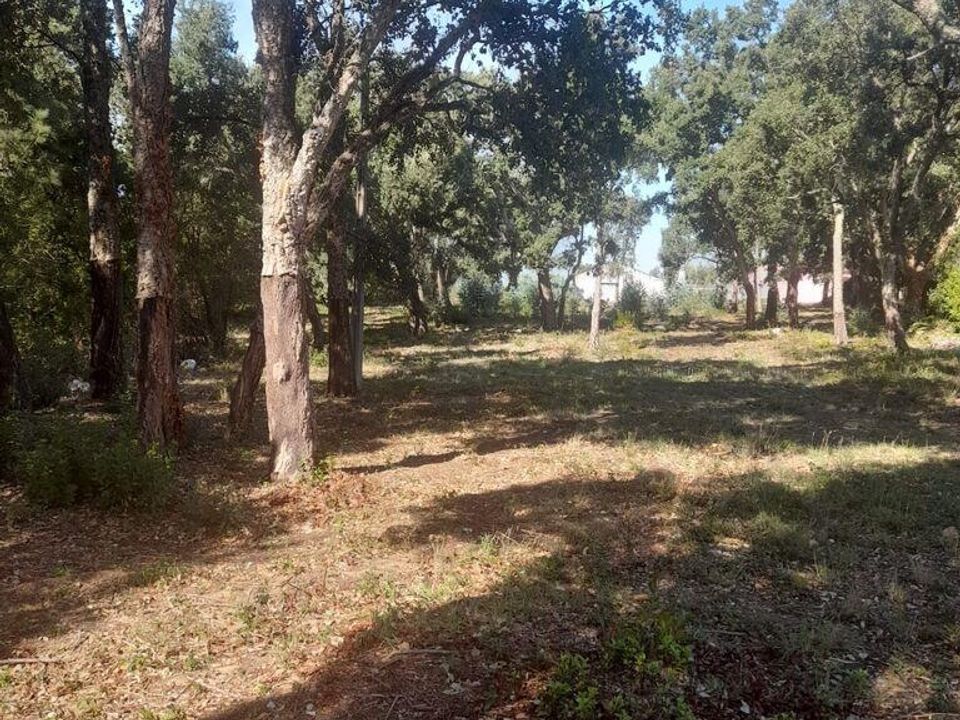 Helårsgrund i Alcobaca, Leiria - foto 1