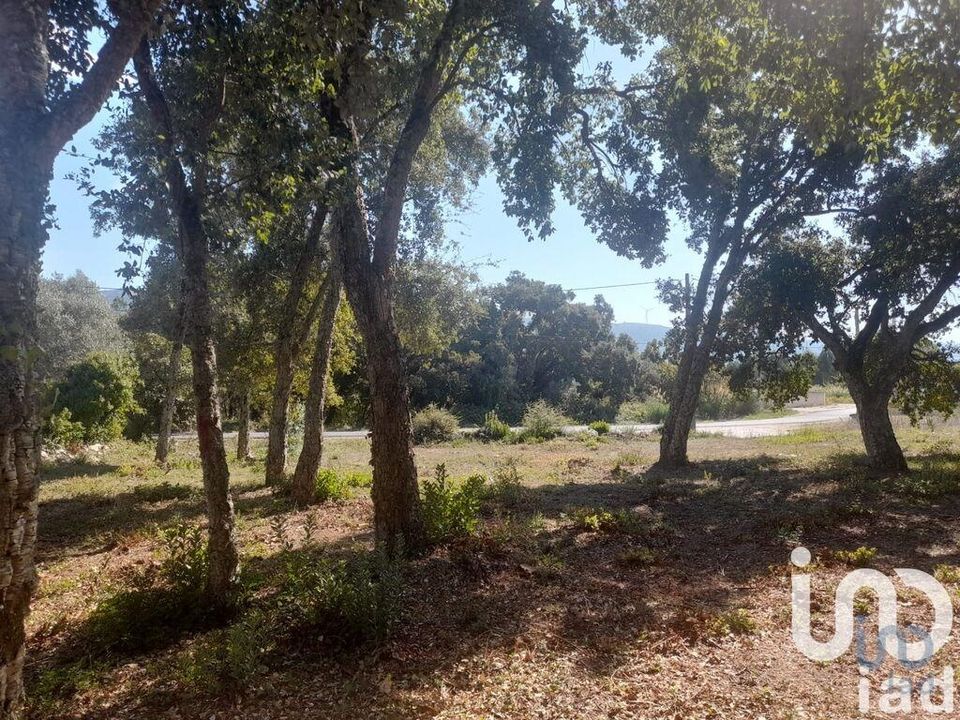 Helårsgrund i Alcobaca, Leiria - foto 2