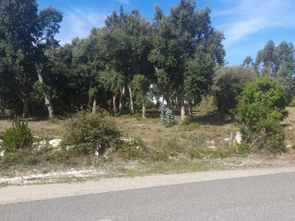 Helårsgrund i Alcobaca, Leiria - foto 3