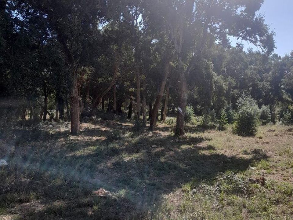 Helårsgrund i Alcobaca, Leiria - foto 4