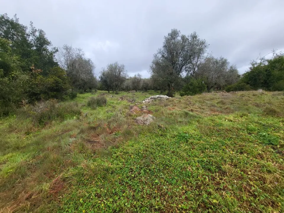 Helårsgrund i Borba, Evora - foto 3