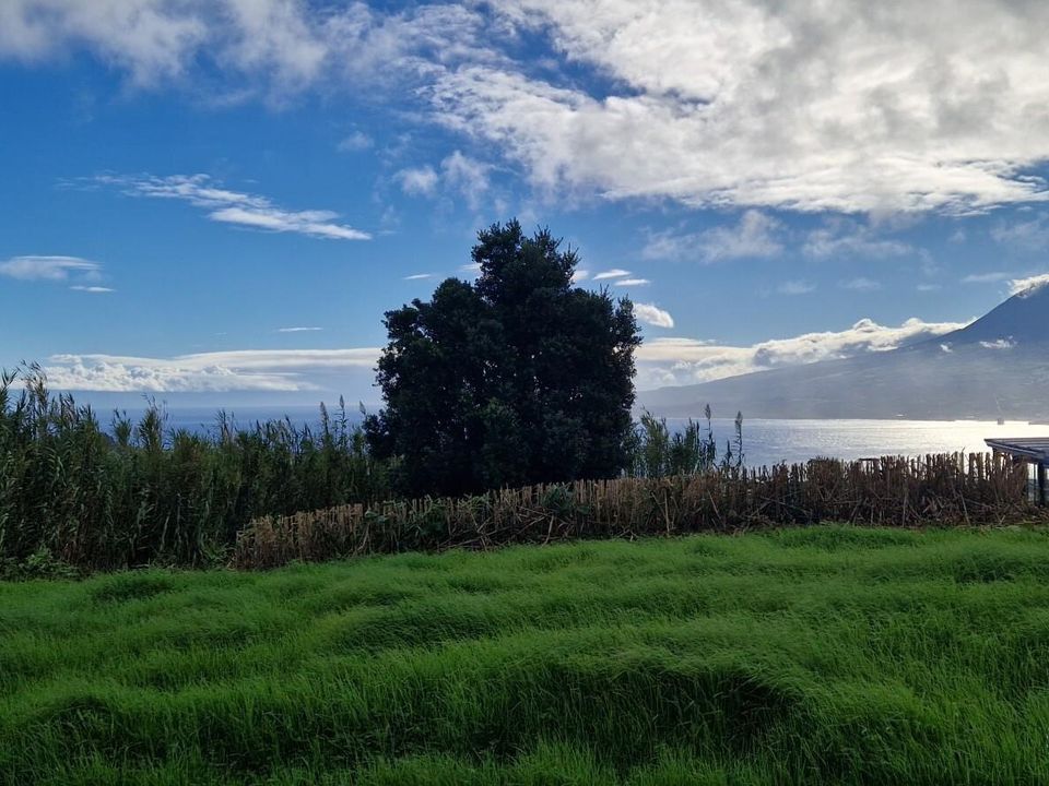 Byhus i Horta, Faial - foto 3