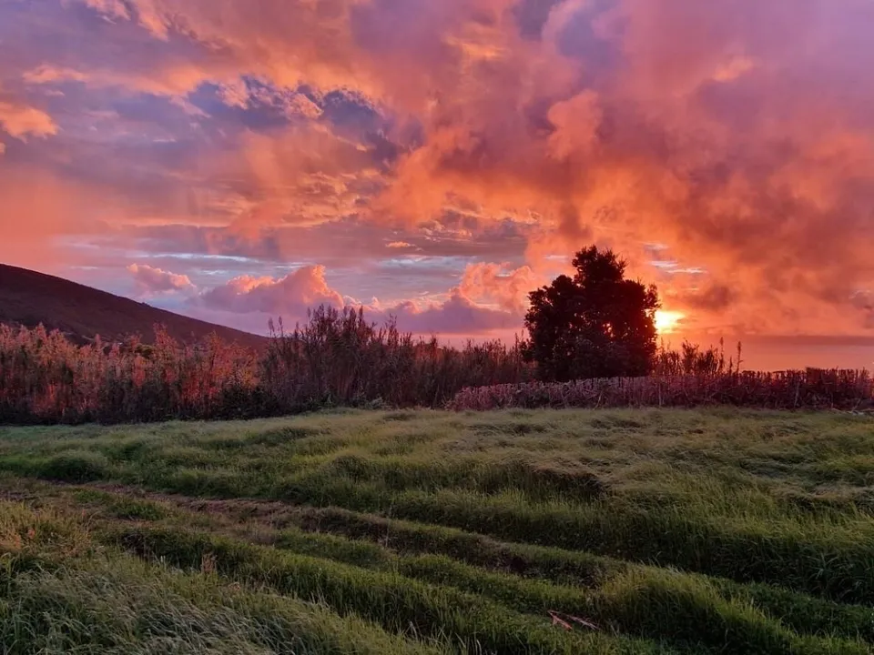 Byhus i Horta, Faial - foto 4