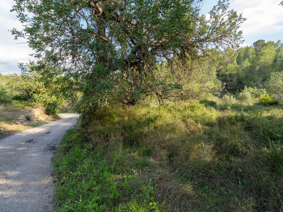 Finca i Tortosa, Tarragona - bilde 5