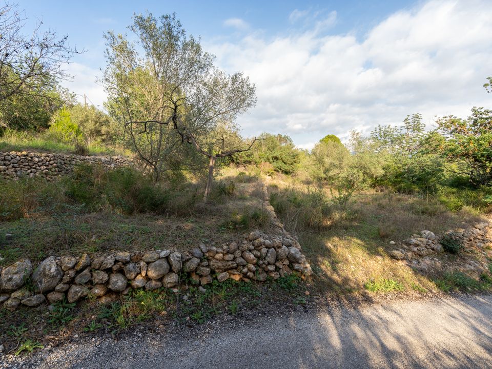 Finca i Tortosa, Tarragona - bilde 4