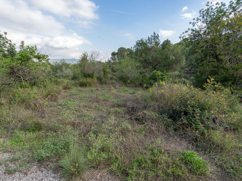 Finca i Tortosa, Tarragona - bilde 3