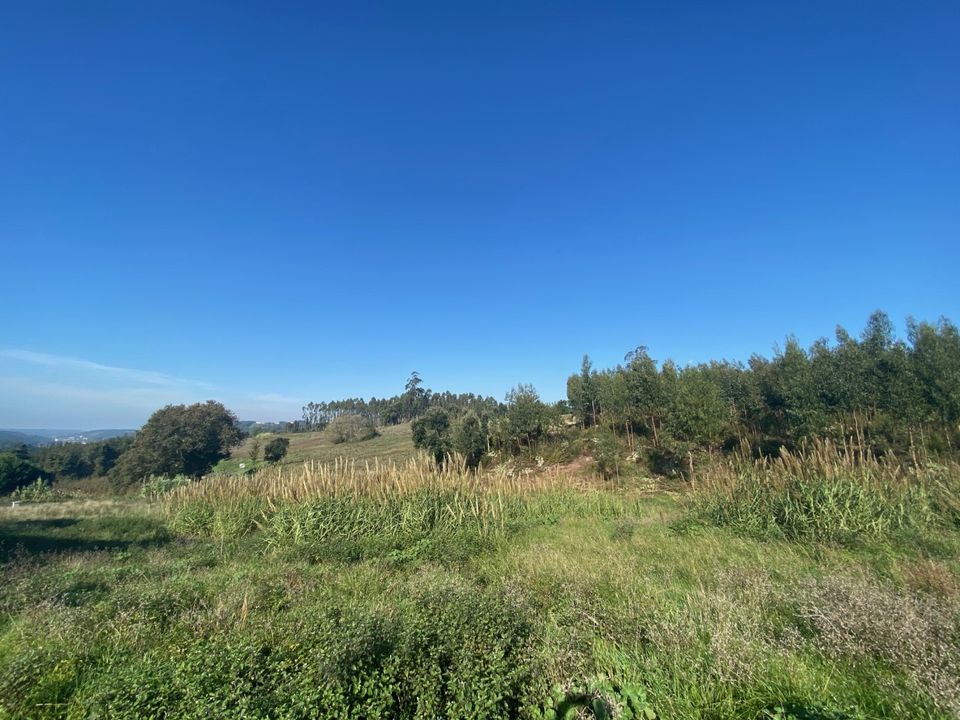 Helårsgrund i Caldas da Rainha, Leiria - foto 3