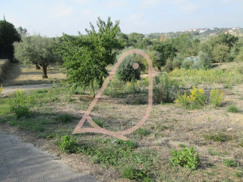 Helårsgrund i Ourem, Santarem - foto 2