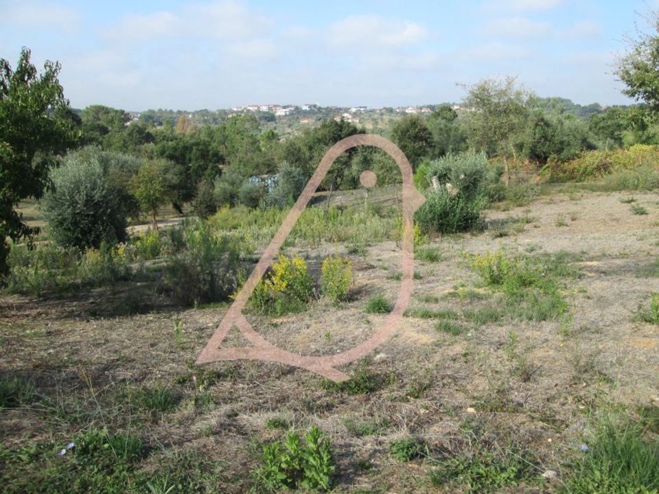 Helårsgrund i Ourem, Santarem - foto 3