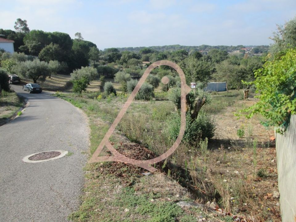 Helårsgrund i Ourem, Santarem - foto 5