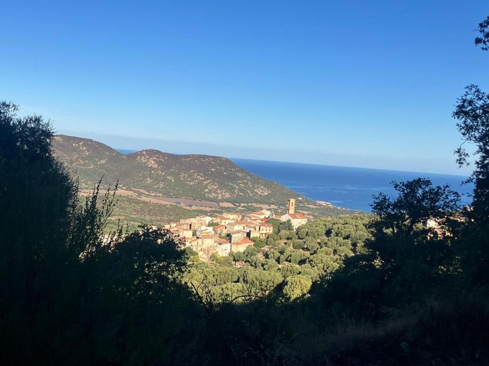 Helårsgrund i Aregno, Haute-Corse - foto 1