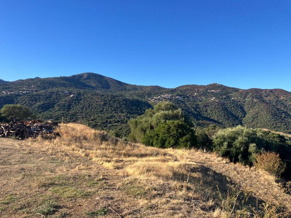 Helårsgrund i Aregno, Haute-Corse - foto 2
