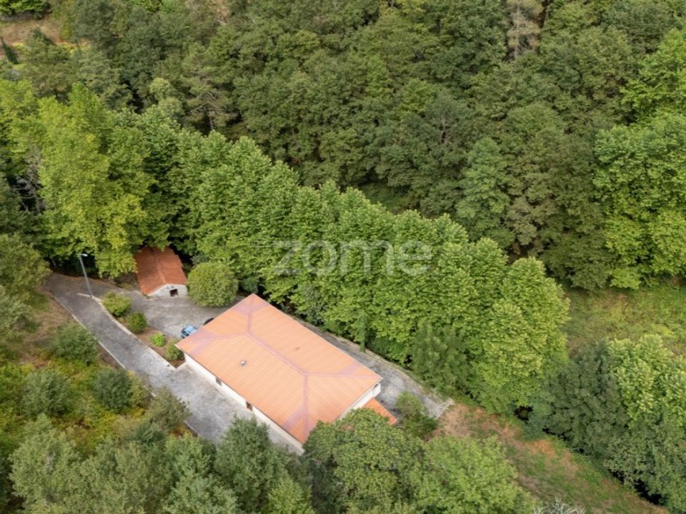 Quinta em Alvite e Passos, Braga - foto 3