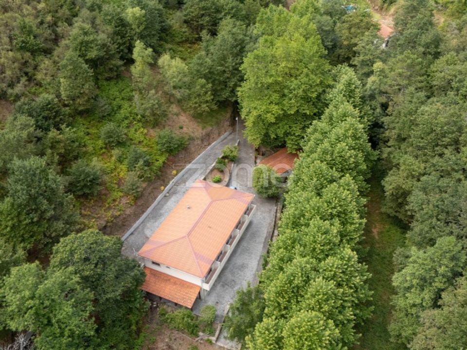 Quinta em Alvite e Passos, Braga - foto 5