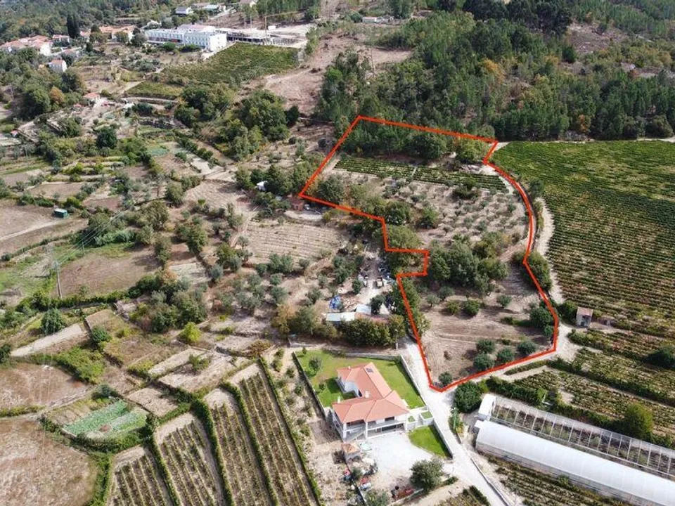 Helårsgrund i Penalva do Castelo, Viseu - foto 1