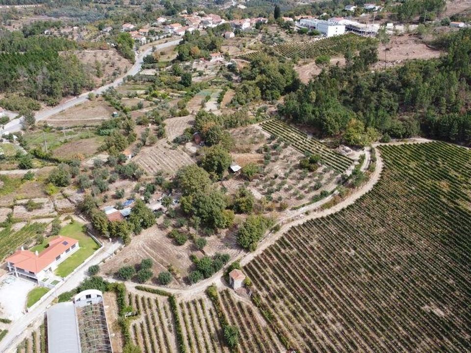 Helårsgrund i Penalva do Castelo, Viseu - foto 2