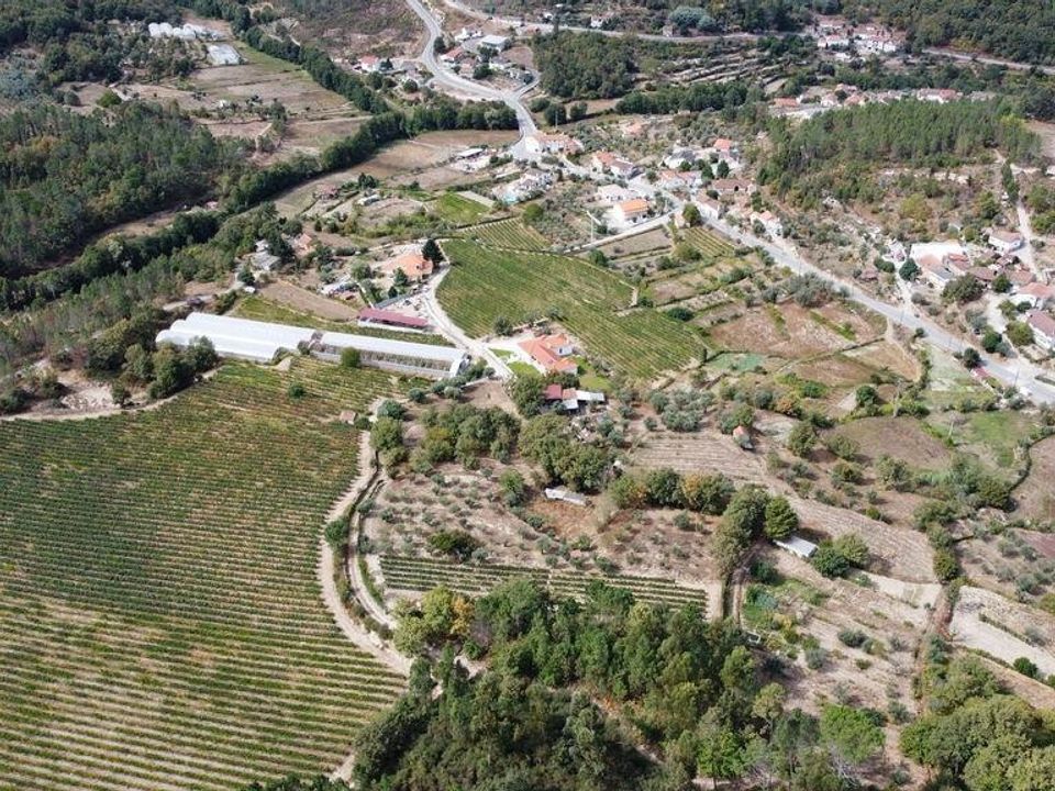 Helårsgrund i Penalva do Castelo, Viseu - foto 3