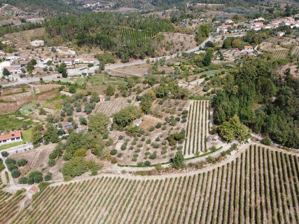 Helårsgrund i Penalva do Castelo, Viseu - foto 5