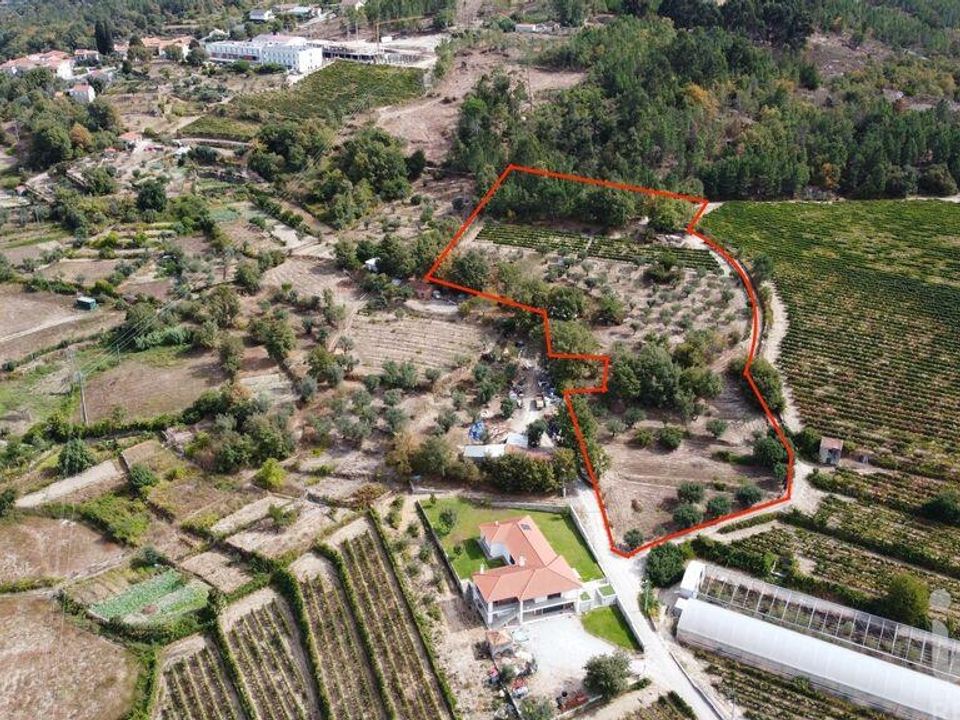Działka: Penalva do Castelo, Viseu – zdjęcie 1